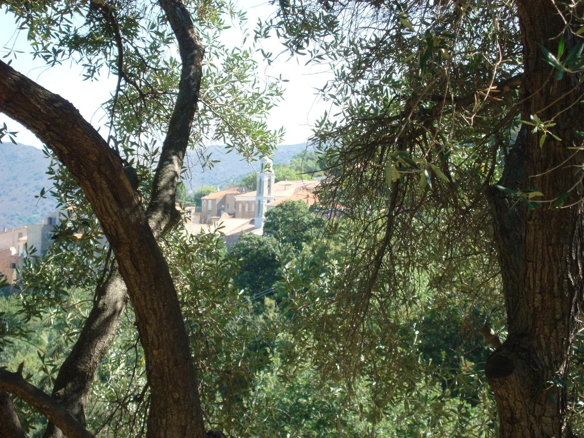 Di Sognu Holiday home *